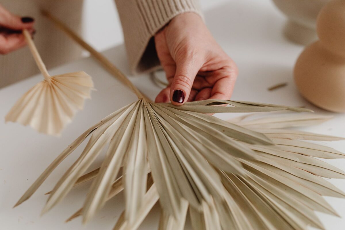 règle palmito guide matériel mise place