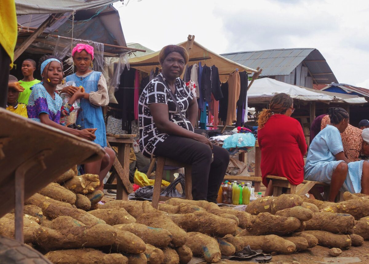 zanzibar règle complète yams différences